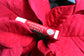 Peppermint Vanilla Lip Balm