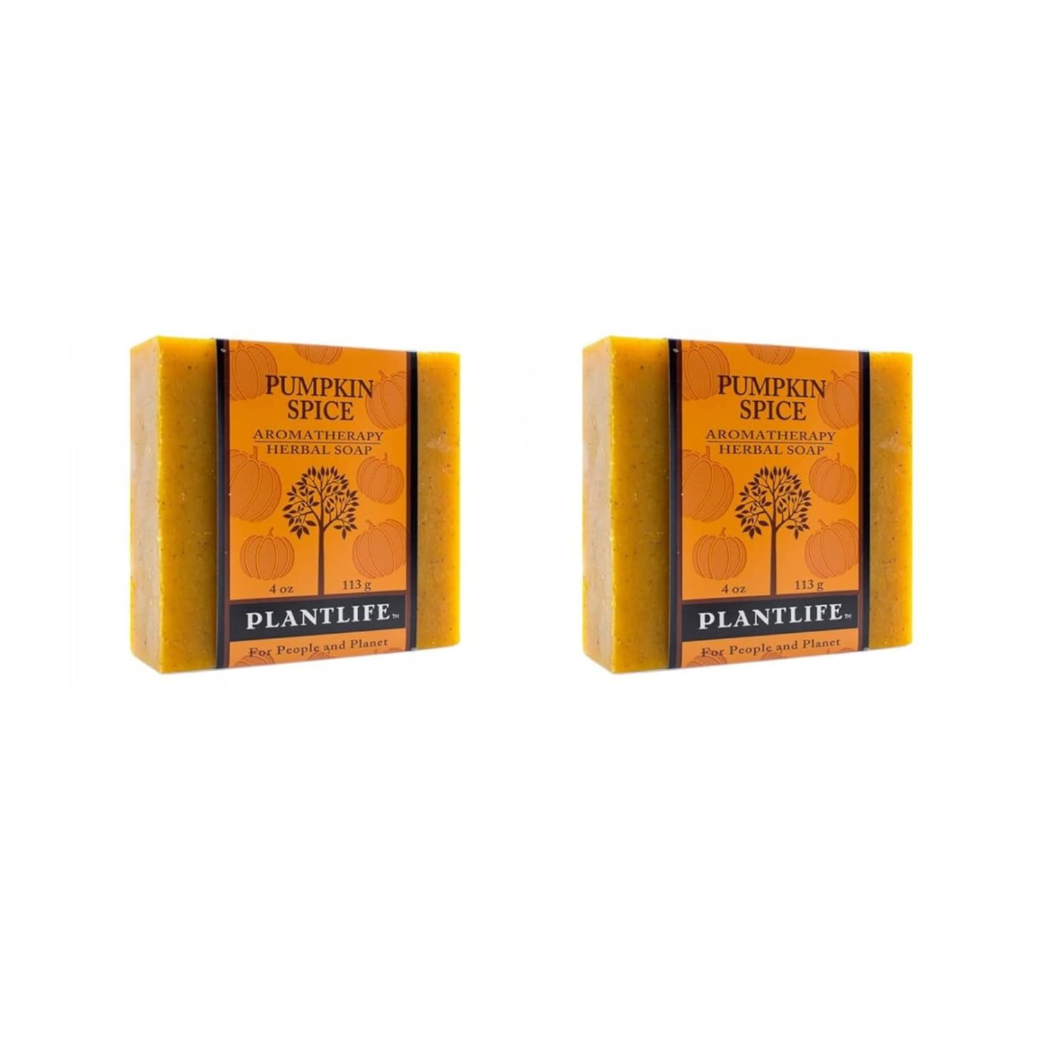 Two bars of Plantlife Pumpkin Spice soap on a white background