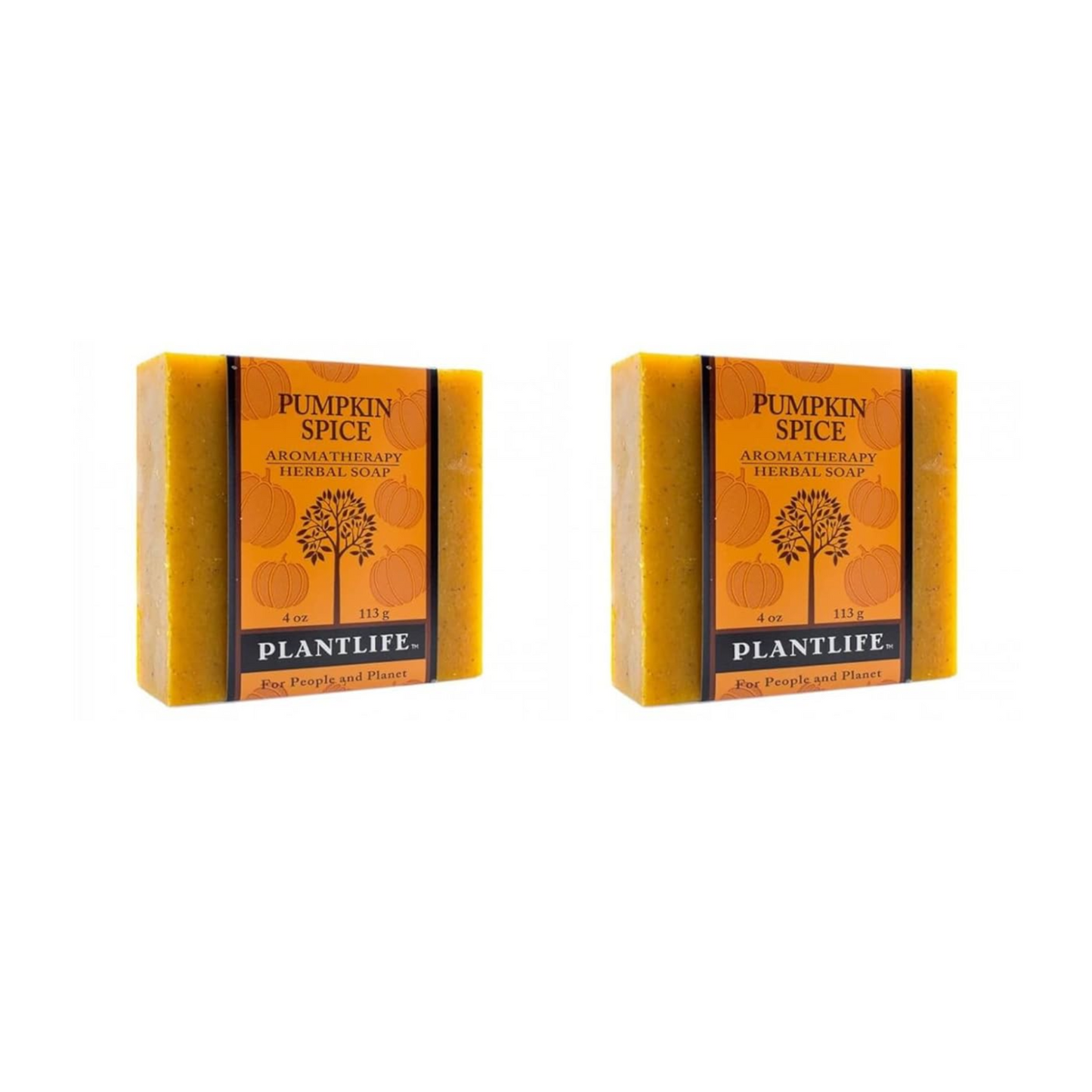 Two bars of Plantlife Pumpkin Spice soap on a white background