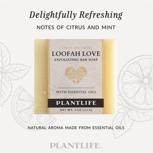 Plantlife Loofah Love exfoliating bar soap packaging with lemon slices and mint leaves on a light background.