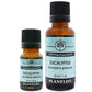 Eucalyptus Essential Oil