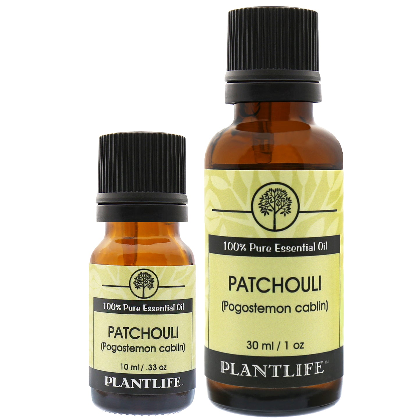 Patchouli Essential Oil