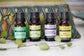 Plantlife Essential Oil Set – Marjoram, Fennel, Rosemary, and Basil 10ml Bottles for Aromatherapy, Diffusers, and Natural Wellness