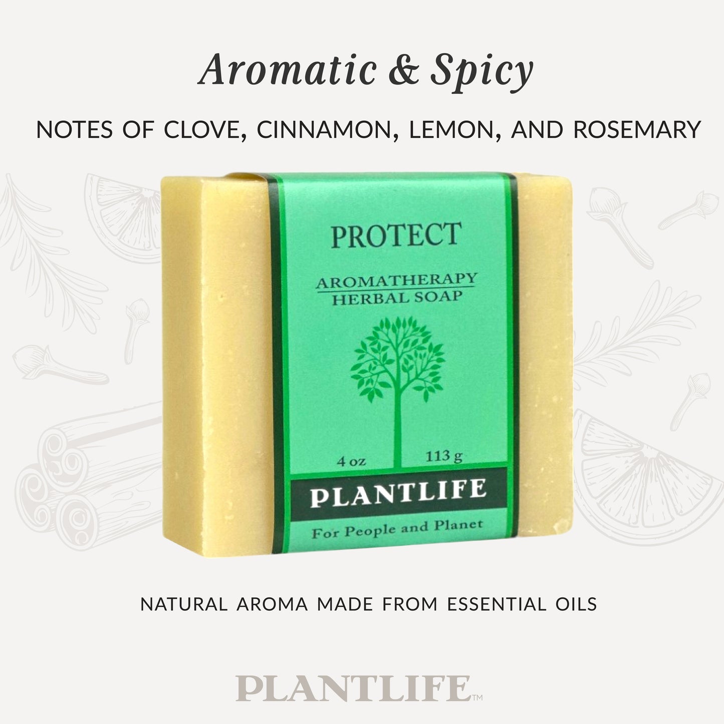 Plantlife Protect Aromatherapy Herbal Soap in green packaging with text reading “Aromatic & Spicy – Notes of clove, cinnamon, lemon, and rosemary.” Natural aroma made from essential oils. Handcrafted bar soap that cleanses while offering a warm, protective, and uplifting scent experience.