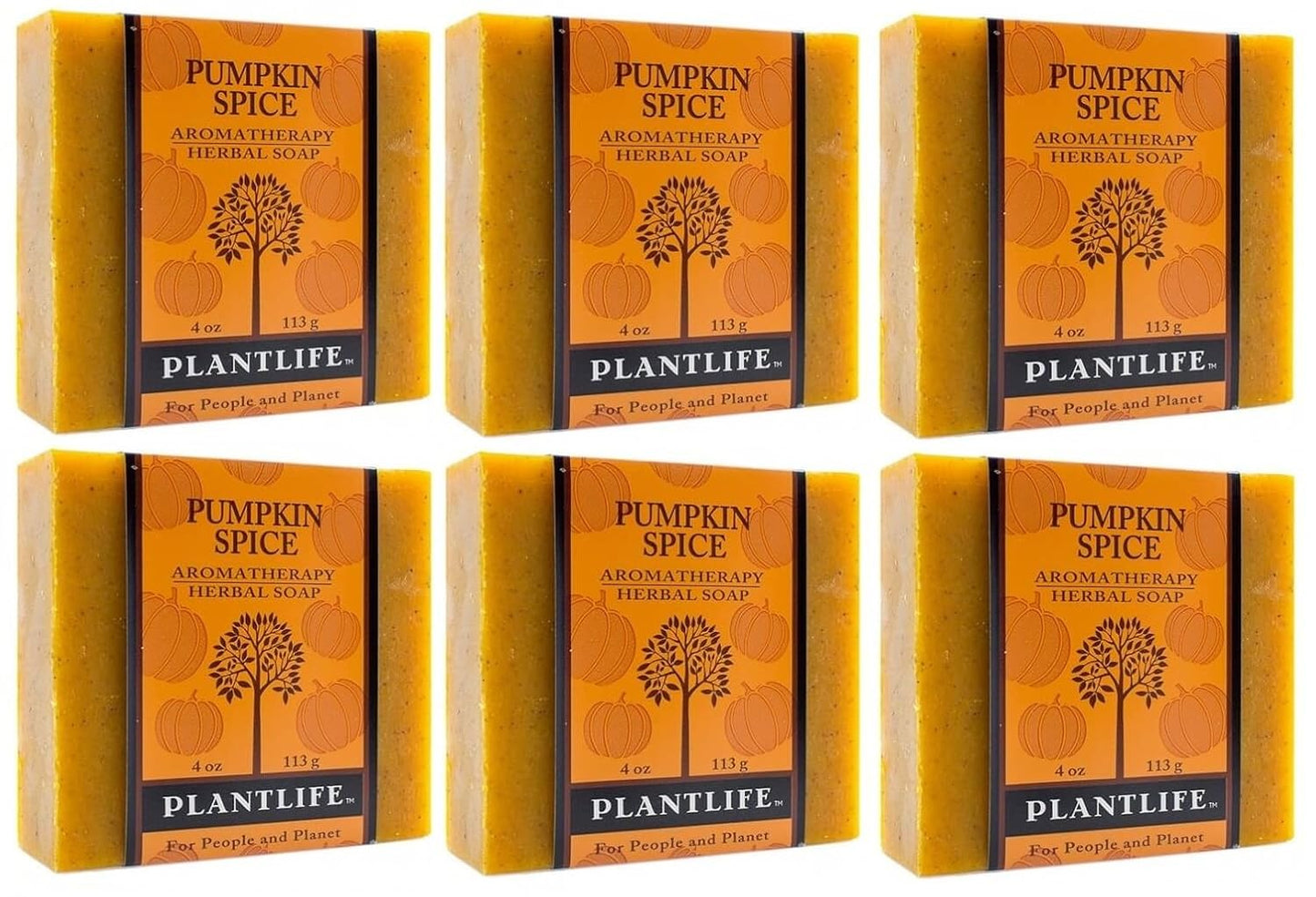 Six bars of Plantlife Pumpkin Spice soap on a white background