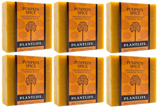 Six bars of Plantlife Pumpkin Spice soap on a white background