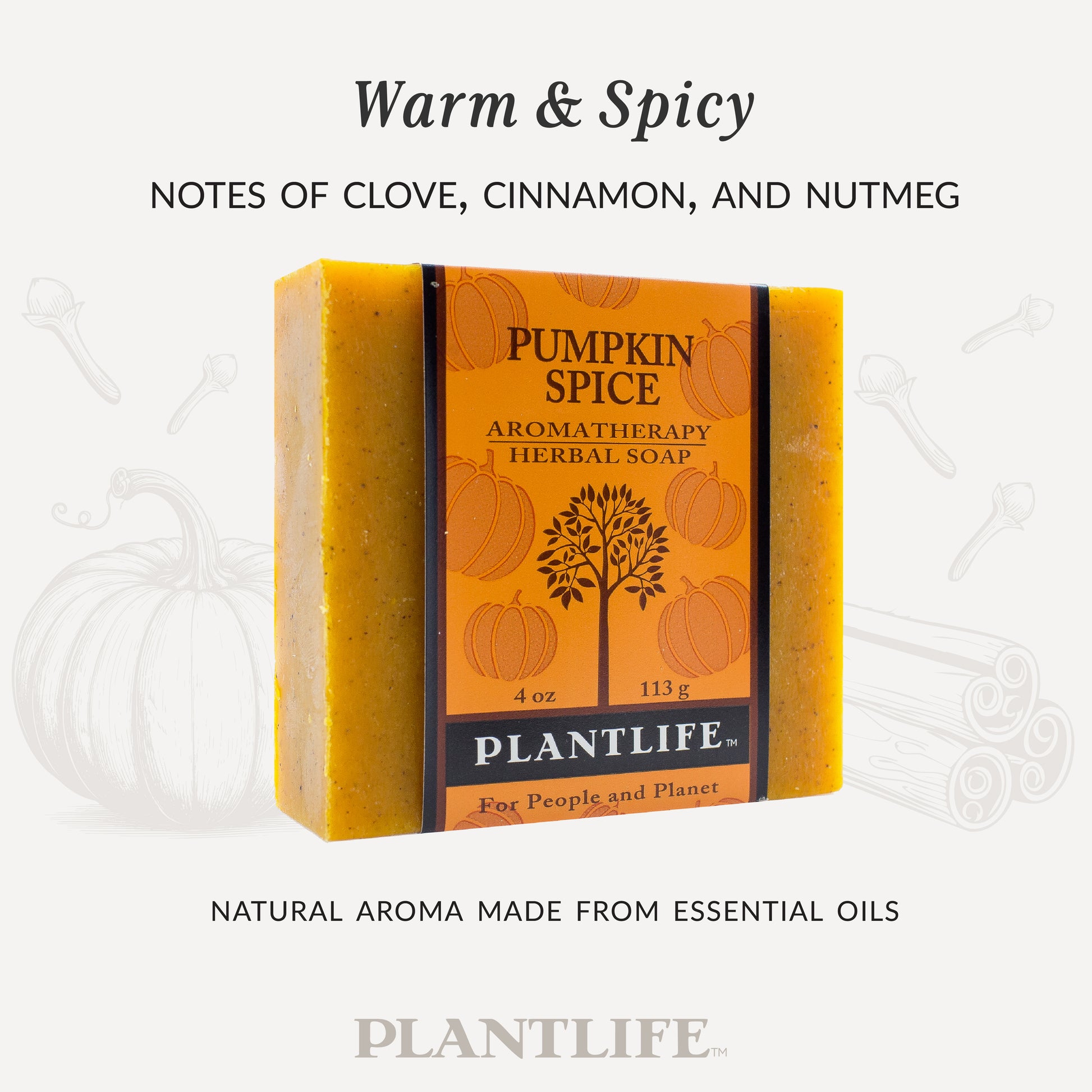 Plantlife Pumpkin Spice Aromatherapy Herbal Soap in orange packaging with pumpkin illustrations. Text reads “Warm & Spicy – Notes of clove, cinnamon, and nutmeg” and “Natural aroma made from essential oils.”