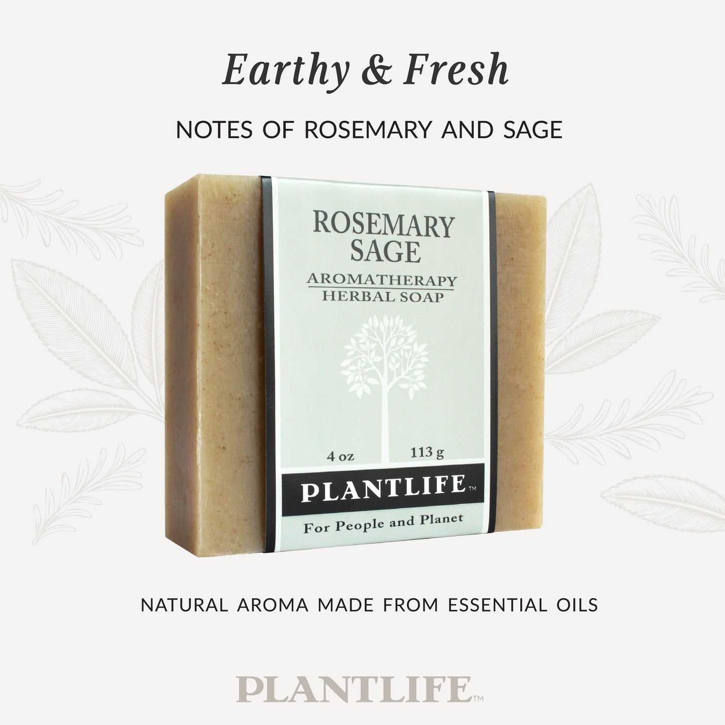 Bar of Plantlife Rosemary Sage Aromatherapy Herbal Soap on a white background with text about notes and natural ingredients.