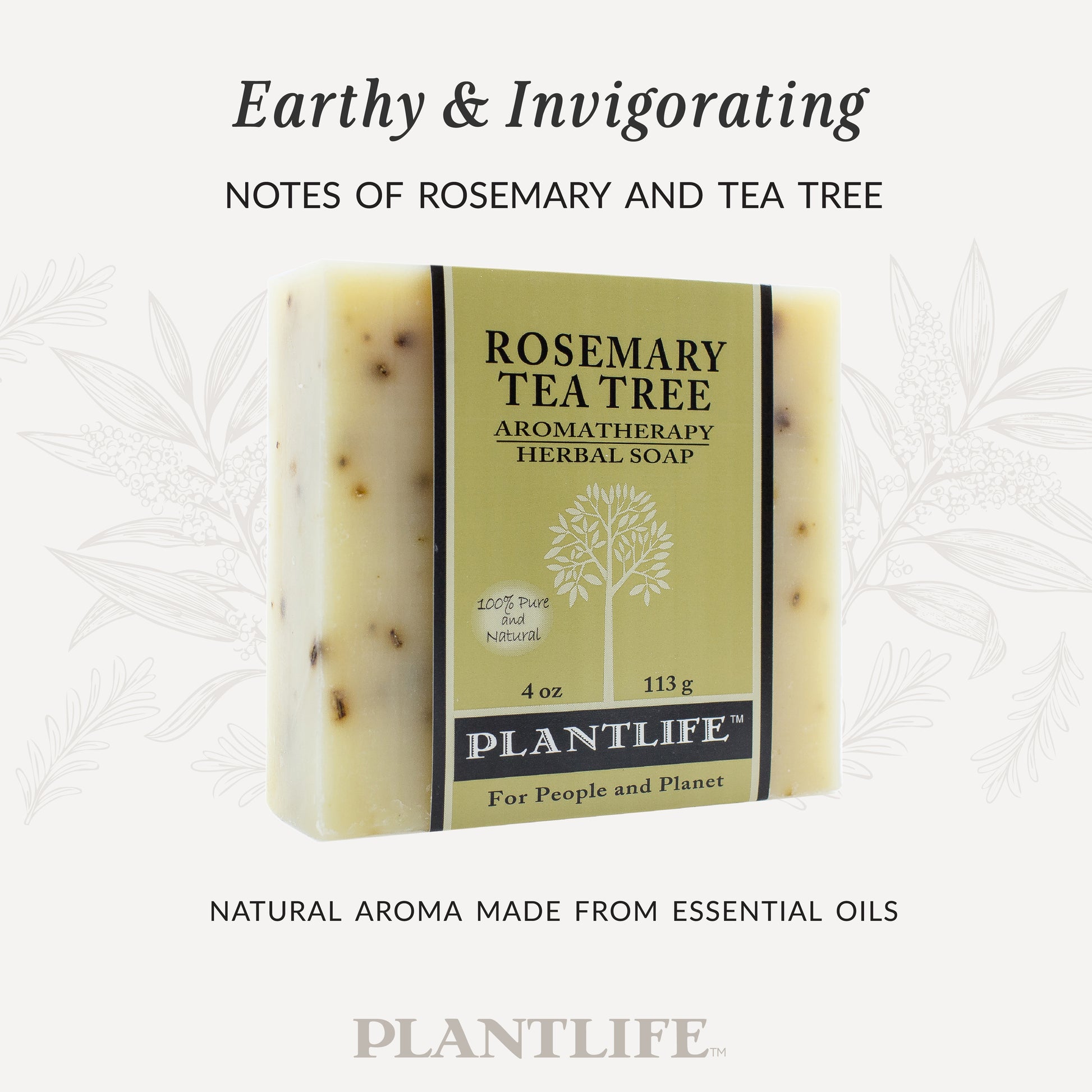 Bar of Plantlife Rosemary Tea Tree Aromatherapy Herbal Soap on a white background