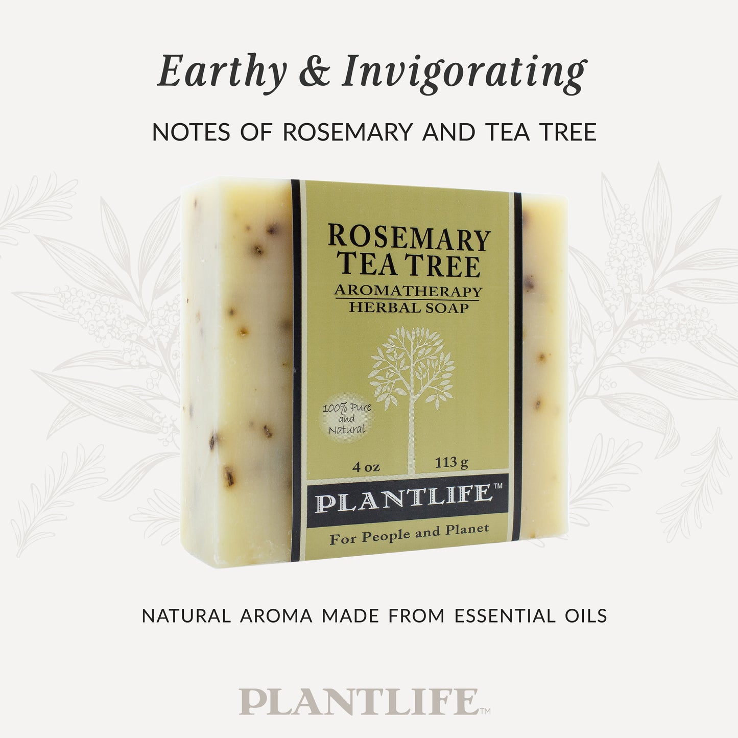 Bar of Plantlife Rosemary Tea Tree Aromatherapy Herbal Soap on a white background
