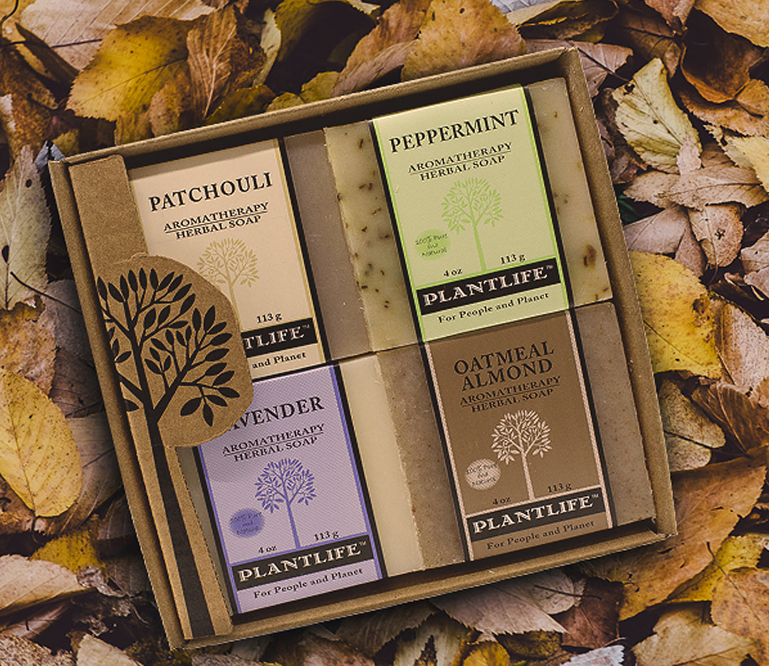 Box of Plantlife aromatherapy herbal soaps on a leafy background