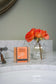 Vanilla Orange Plantlife Bar soap on a counter