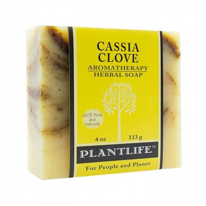 Cassia Clove Plant Based Bar Soap