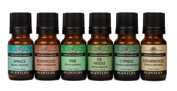 Organic Tree Essential Oil Set – Plantlife