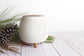Plantlife Beehive Ultrasonic Diffuser – modern ceramic essential oil diffuser with pine accents, perfect for home aromatherapy décor.