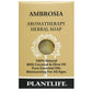 Ambrosia Soap Sample