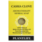 Cassia Clove Soap Sample