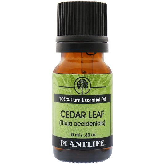 Cedar Leaf Essential Oil