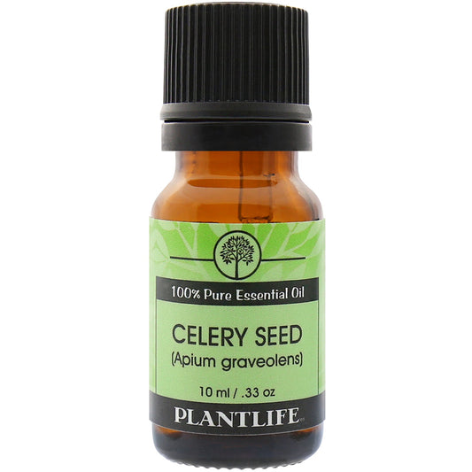 Celery Seed Organic Essential Oil