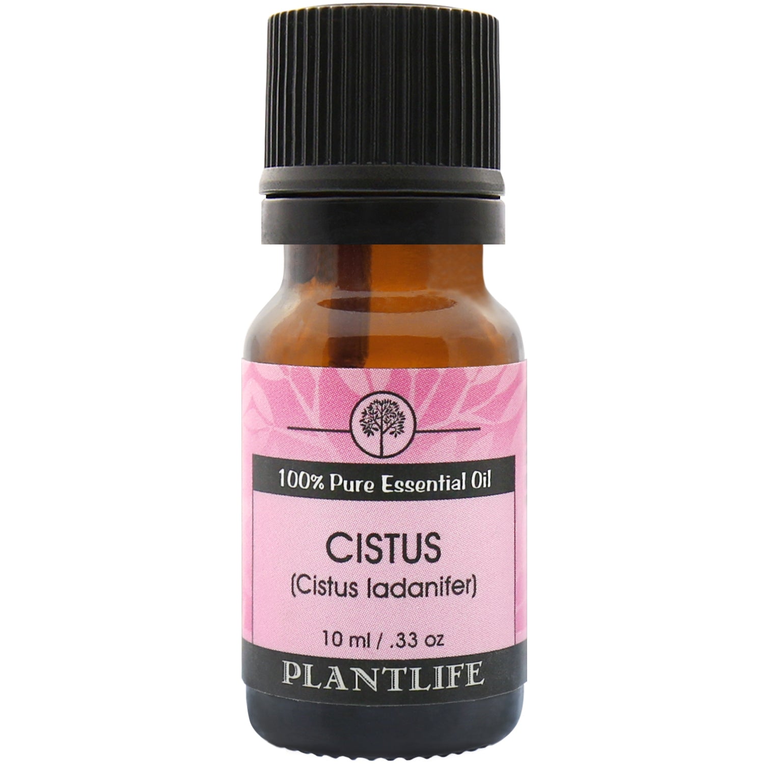 Cistus Organic 100% Pure Essential Oil Blend