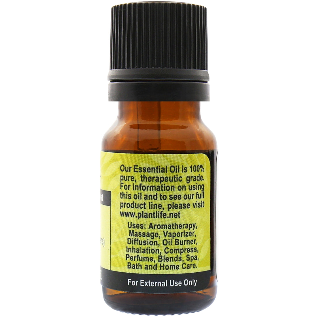 Dill Essential Oil Plantlife 100 Pure Essential Oils