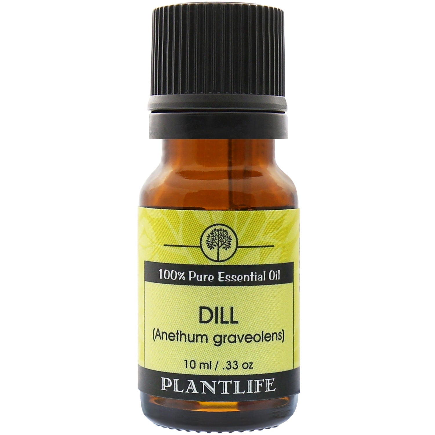Dill Organic Essential Oil