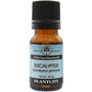 Plantlife Eucalyptus Essential Oil front bottle with cooling menthol scent  