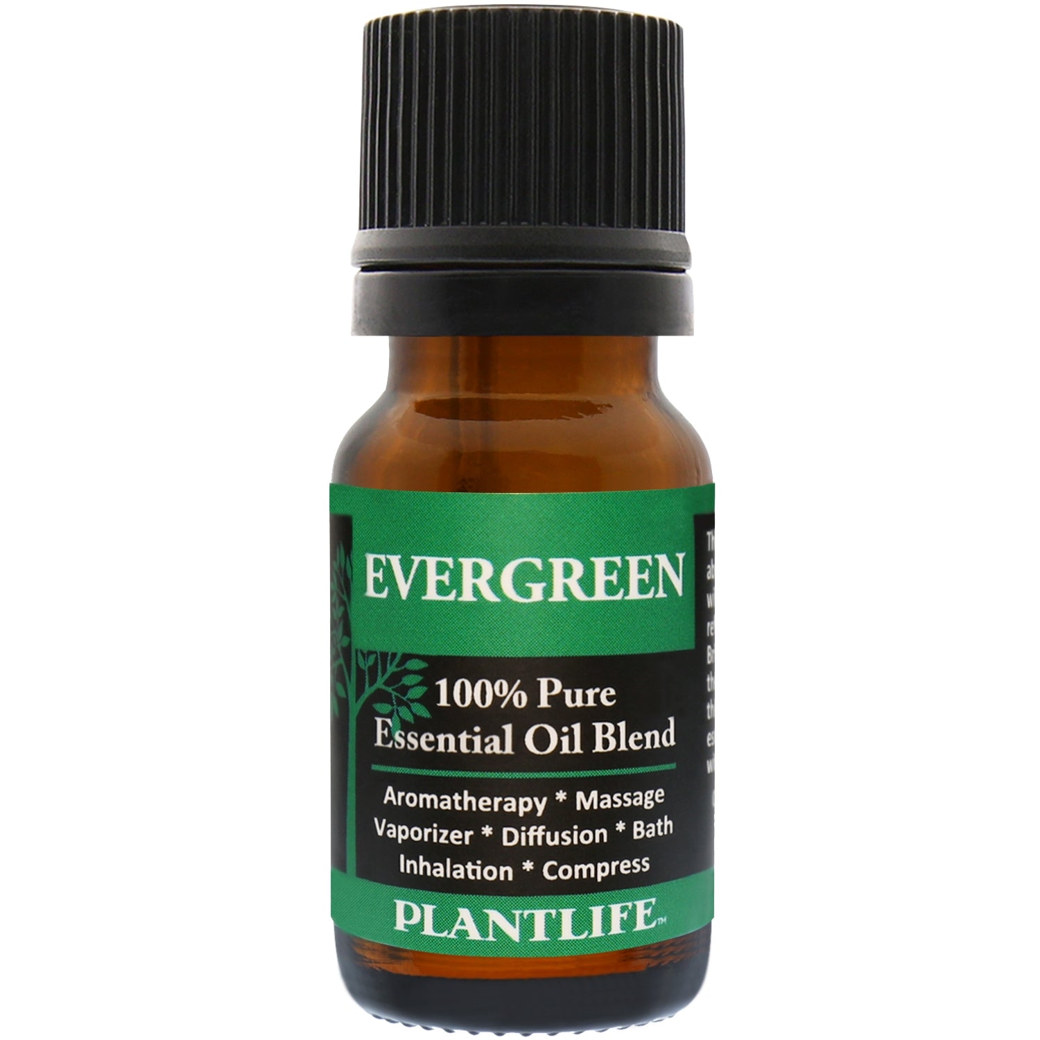 Evergreen Essential Oil – Crisp Tree-Inspired Scent | Plantlife