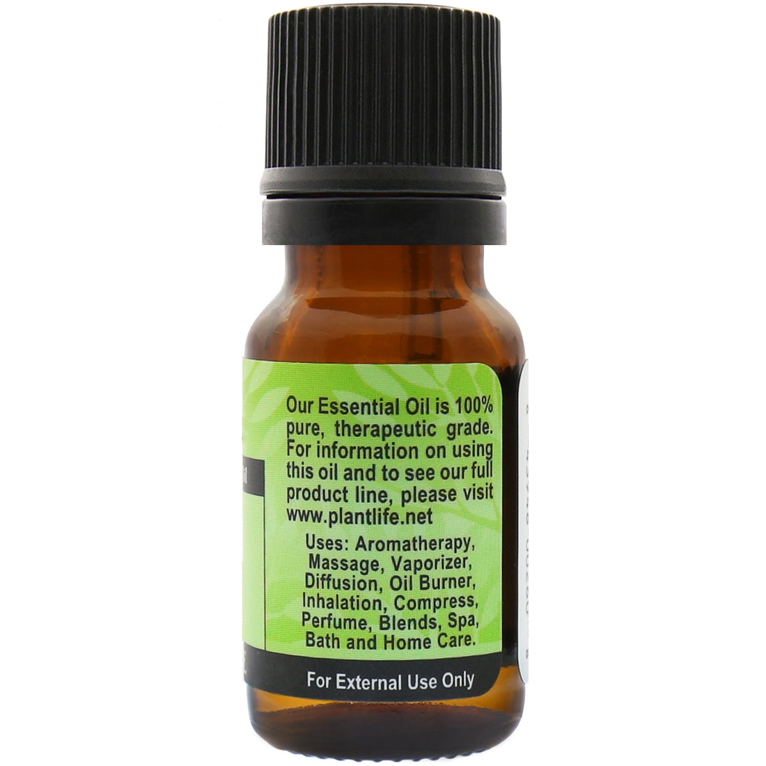 Fennel Sweet Essential Oil Plantlife 100 Pure Essential Oils