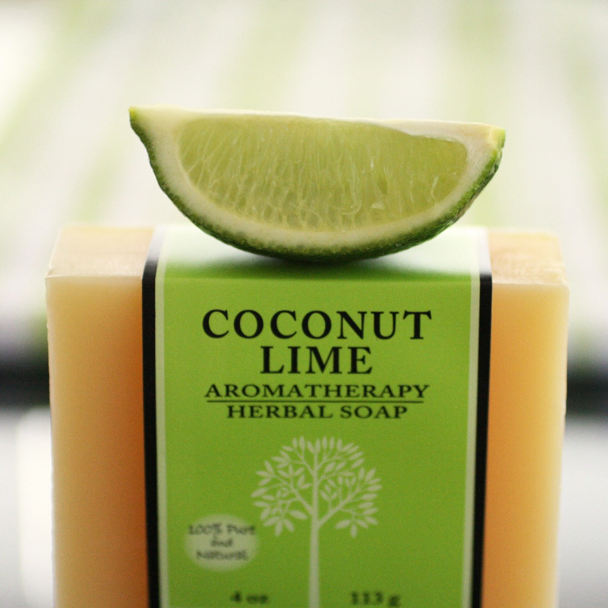 Coconut Lime Plant Based Bar Soap