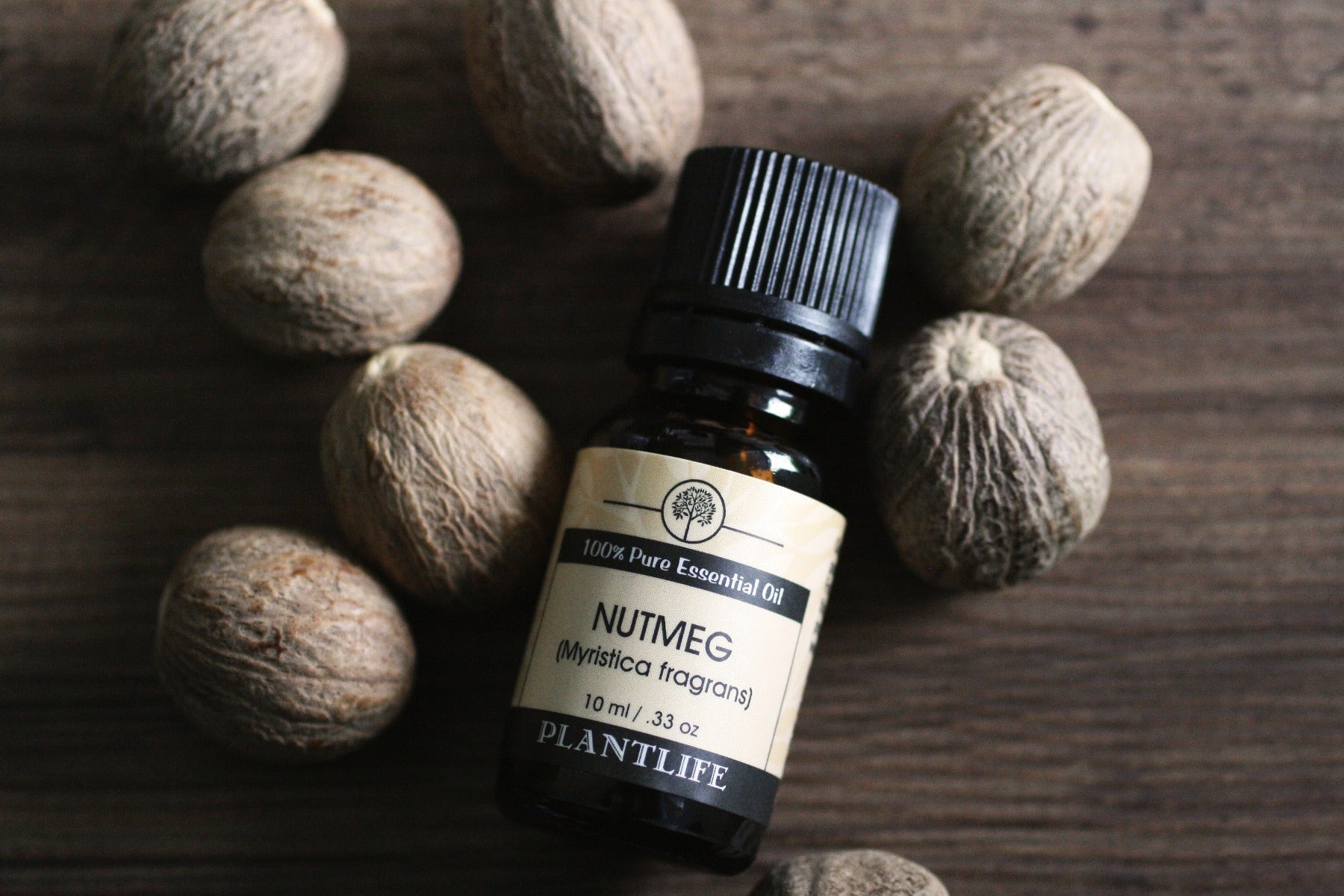 Nutmeg Essential Oil 1 Oz 30ml 100% Natural and Pure for