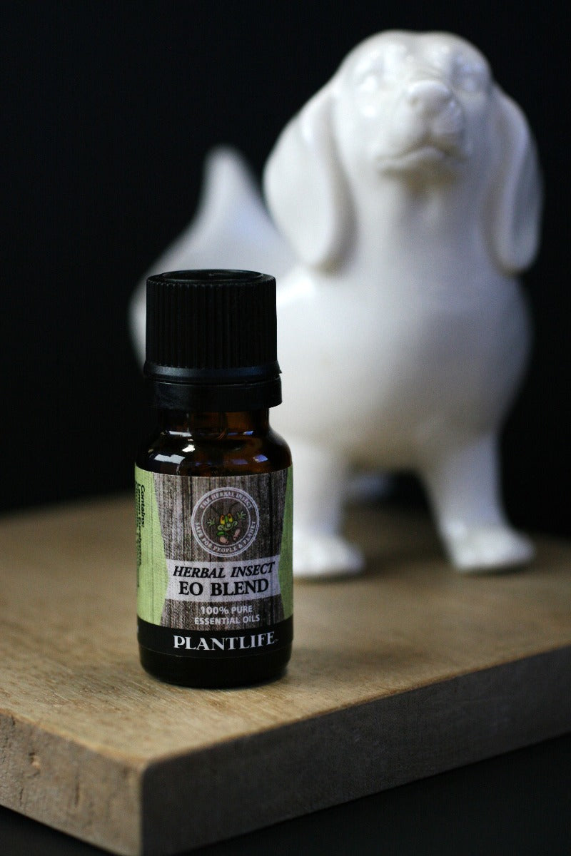 Herbal Insect Essential Oil Blend