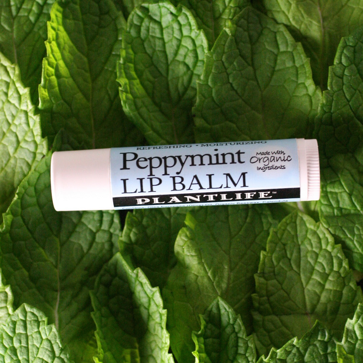 Peppermint Plant Based  Lip Balm