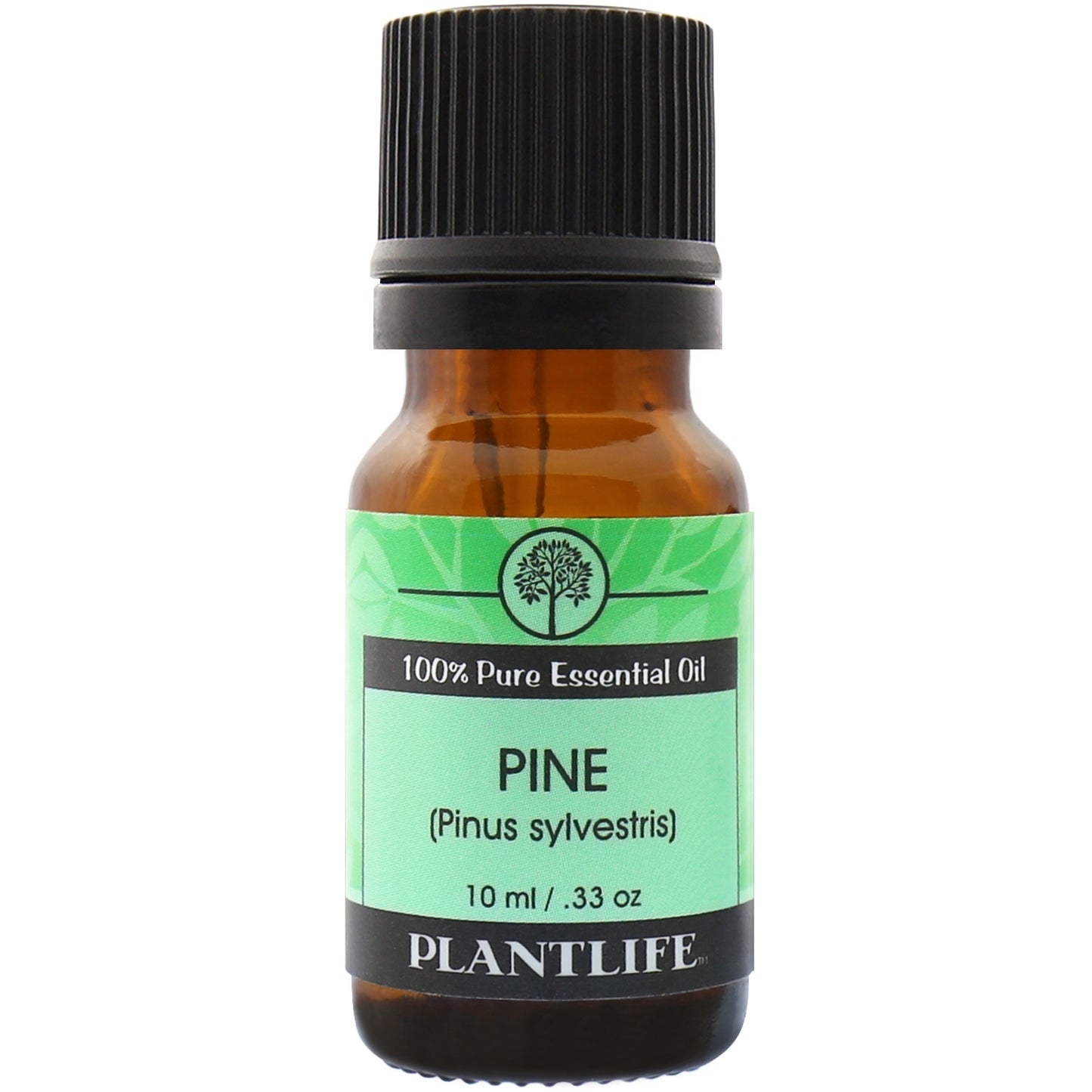 Pine Needle 100% Pure Essential Oil