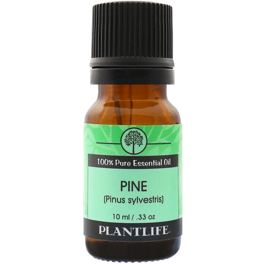 Pine Needle 100% Pure Essential Oil