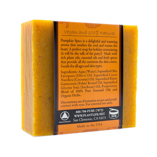 Pumpkin Spice Natural Bar Soap