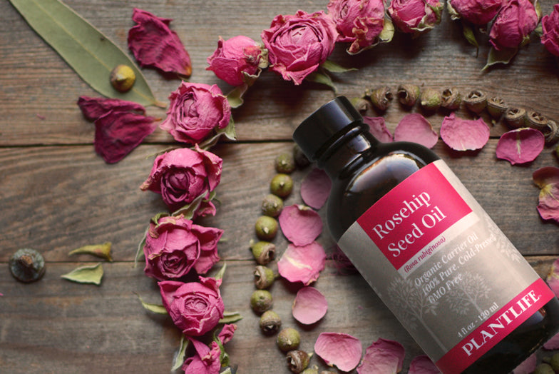 rosa eglanteria seed oil Rosehip Seed Oil – Organic, Cold Pressed & Anti-Aging