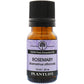 Plantlife Rosemary Essential Oil bottle with fresh, herbaceous aroma  