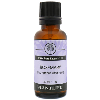 Plantlife Rosemary Essential Oil bottle with fresh, herbal aroma  