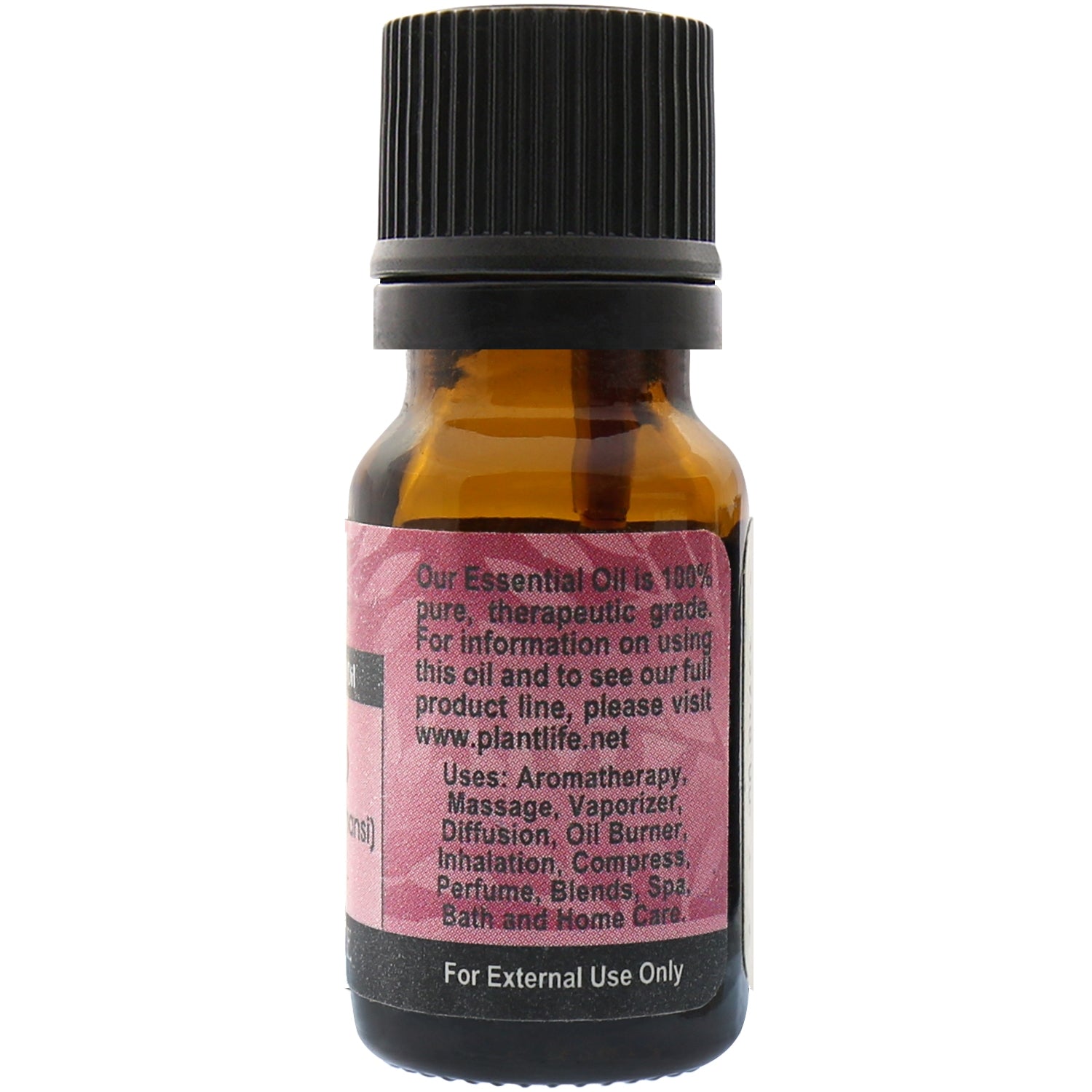 Spikenard Essential Oil – Earthy Musky Herbal Scent | Plantlife
