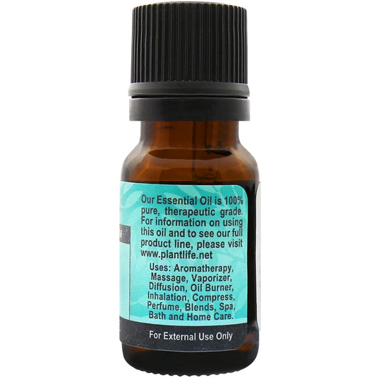 Spruce Organic Essential Oil