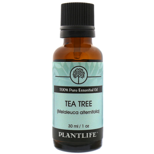Plantlife Tea Tree Essential Oil bottle with fresh, medicinal aroma  